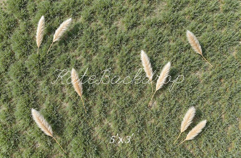 Kate Green Grass Pampas Grass Floor Printed Backdrop Designed by Mini MakeBelieve