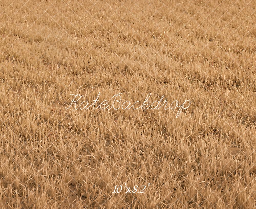 Kate Fall Withered Grass Field Floor Printed Backdrop Designed by Kate Image