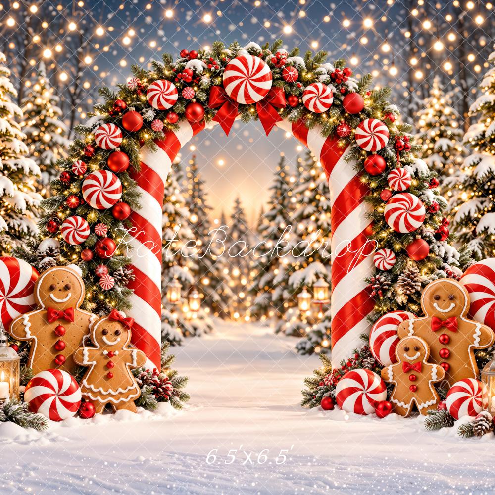 Kate Christmas Candy Cane Arch Gingerbread Snowy Forest Printed Backdrop Designed by Emetselch