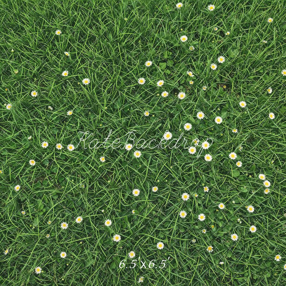 Kate Green Grass Daisy Flowers Floor Backdrop Designed by Kate Image