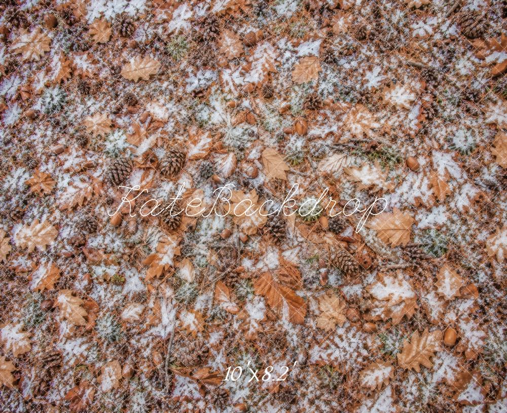 Kate Fall Leaves Pinecones Acorns Snow Floor Printed Backdrop Designed by Vertigo Productions