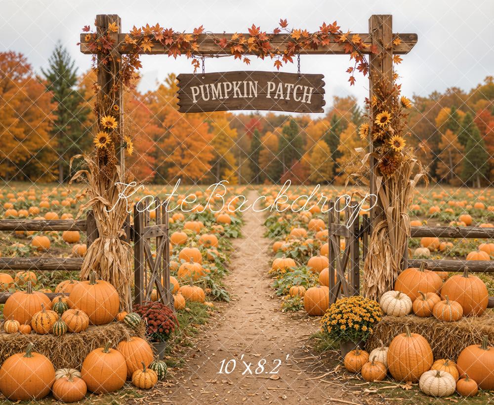 Kate Fall Pumpkin Patch Sunflowers Hay Bales Printed Backdrop Designed by Emetselch