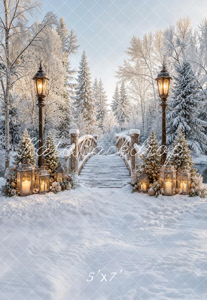 Kate Winter Bridge Path Snowy Lantern Forest Printed Backdrop Designed by Emetselch