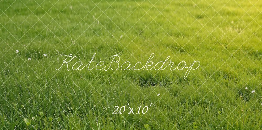 Kate Summer Green Grass Field Printed Backdrop Designed by Emetselch