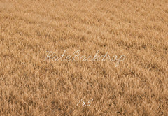 Kate Fall Withered Grass Field Floor Printed Backdrop Designed by Kate Image