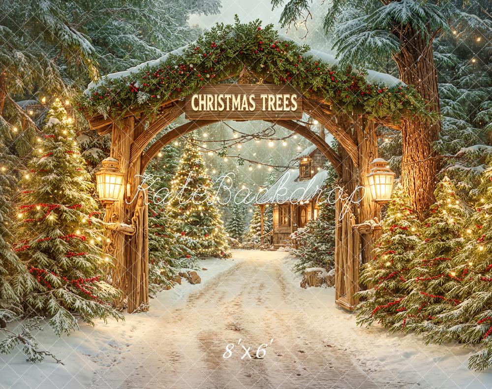 Kate Christmas Tree Arch Snowy Forest Pathway Cabin Backdrop Designed by Emetselch