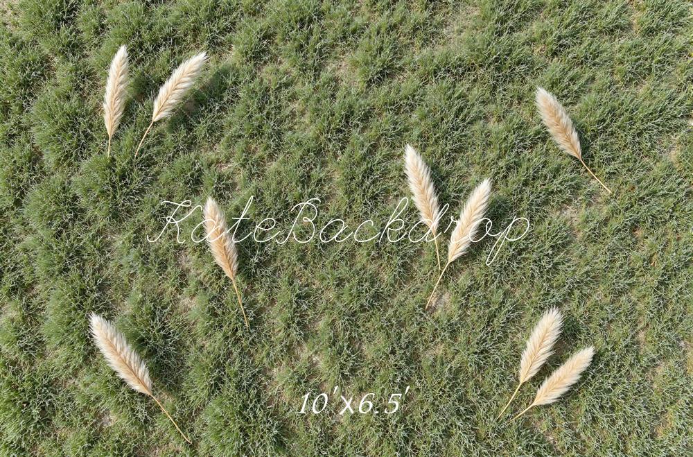 Kate Green Grass Pampas Grass Floor Printed Backdrop Designed by Mini MakeBelieve