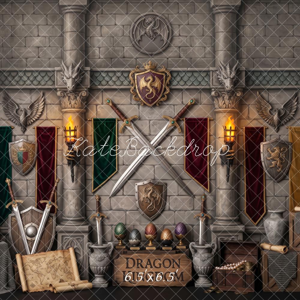 Kate Fantasy Dragon Kingdom CastleTreasure Boys Printed Backdrop Designed by Patty Roberts