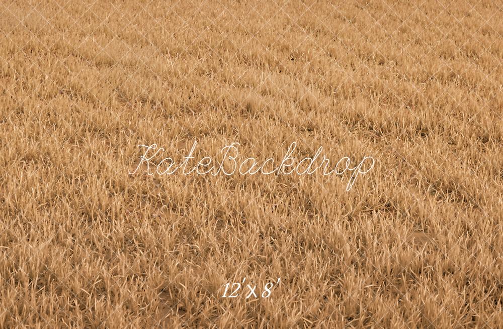 Kate Fall Withered Grass Field Floor Printed Backdrop Designed by Kate Image