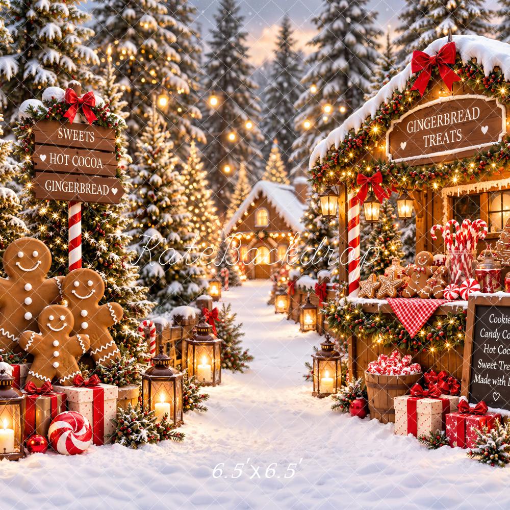Kate Christmas Gingerbread House Village Snowy Printed Backdrop Designed by Emetselch