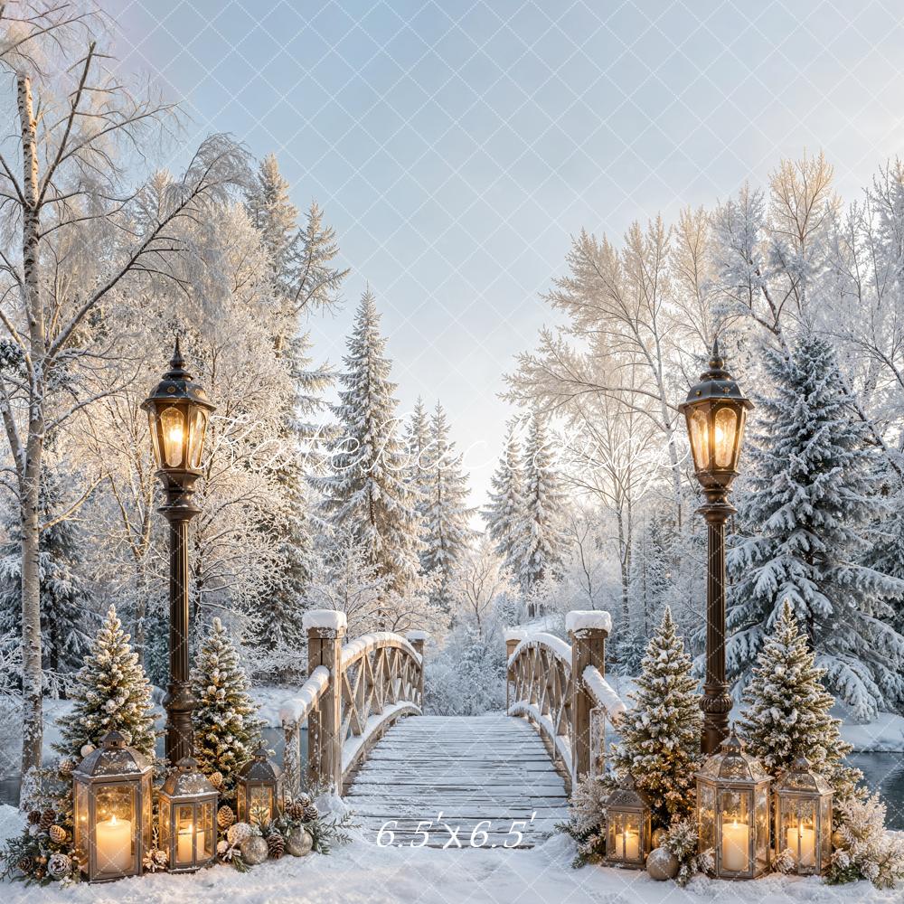 Kate Winter Bridge Path Snowy Lantern Forest Printed Backdrop Designed by Emetselch