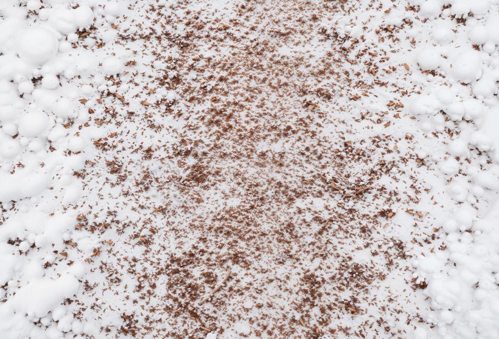 Kate Winter White Snow Brown Leaves Floor Printed Backdrop Designed by Kate Image
