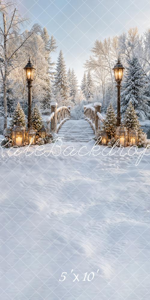 Kate Winter Bridge Path Snowy Lantern Forest Printed Backdrop Designed by Emetselch
