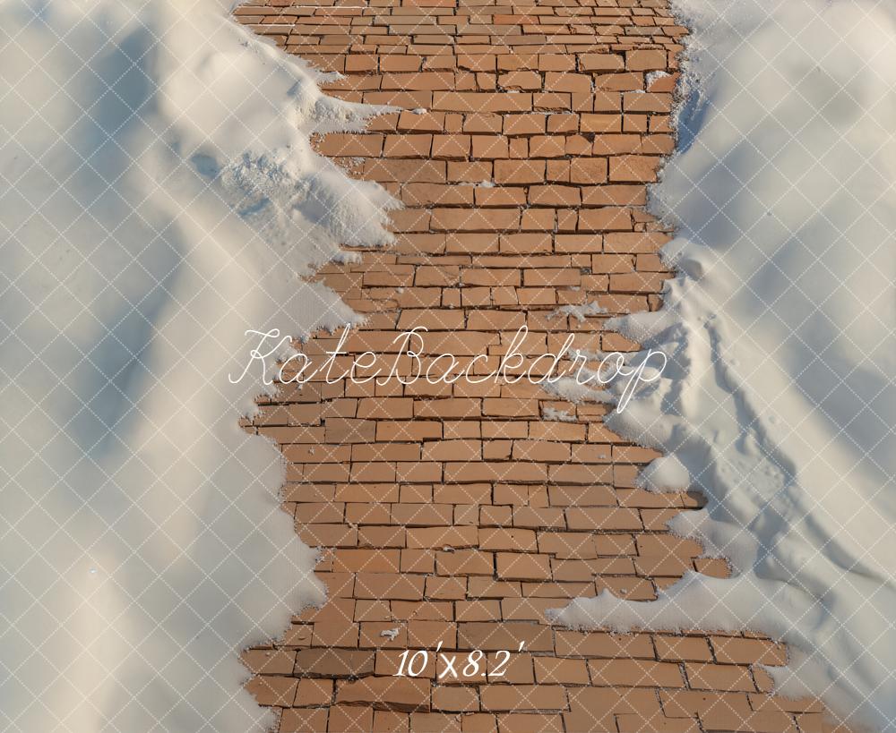 Kate Winter Brick Path Snow Floor Backdrop Designed by Emetselch