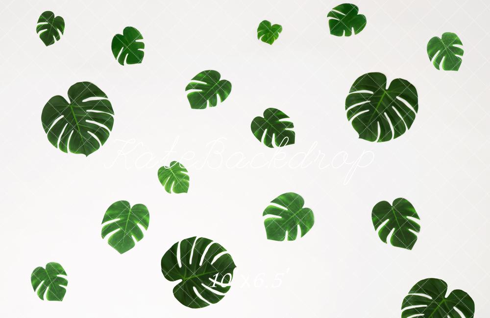 Kate Green Monstera Leaves Floor Backdrop Designed by Melissa King