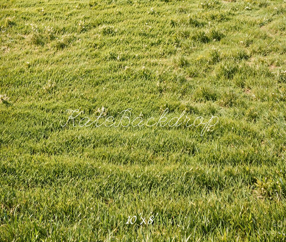 Kate Spring Green Grass Field Floor Backdrop Designed by Emetselch