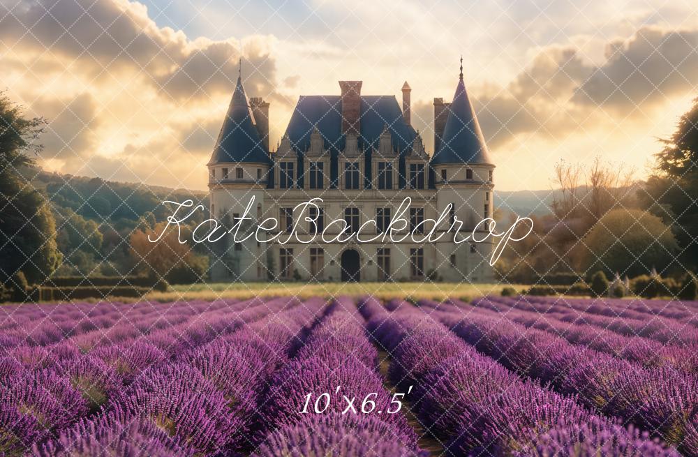 Campo di lavanda da sogno castello sfondo Designed by Emetselch