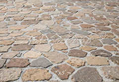 Kate Cobblestone Floor Printed Backdrop Designed by Kate Image