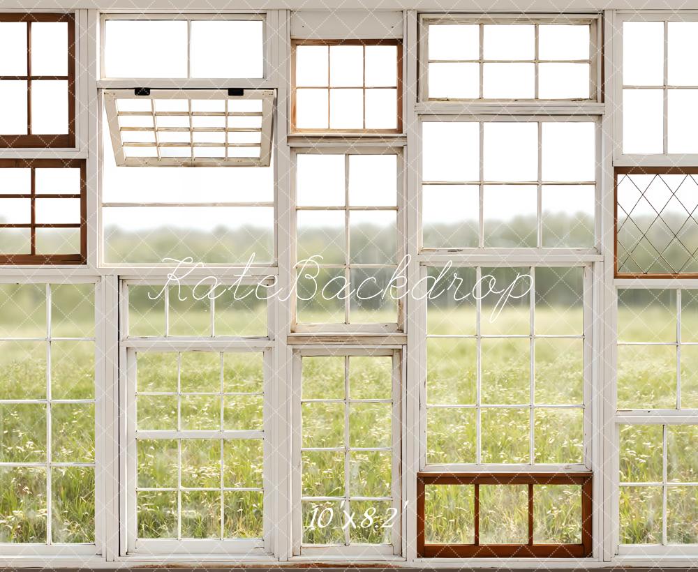 Kate Vintage Window Pane Field Printed Backdrop Designed by Mini MakeBelieve