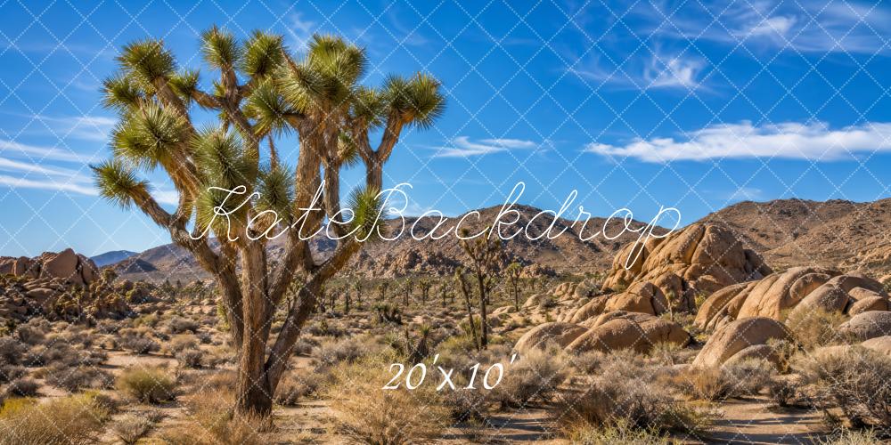 Kate Nature Joshua Tree Desert Landscape Outdoor Printed Backdrop Designed by Megan Leigh Photography