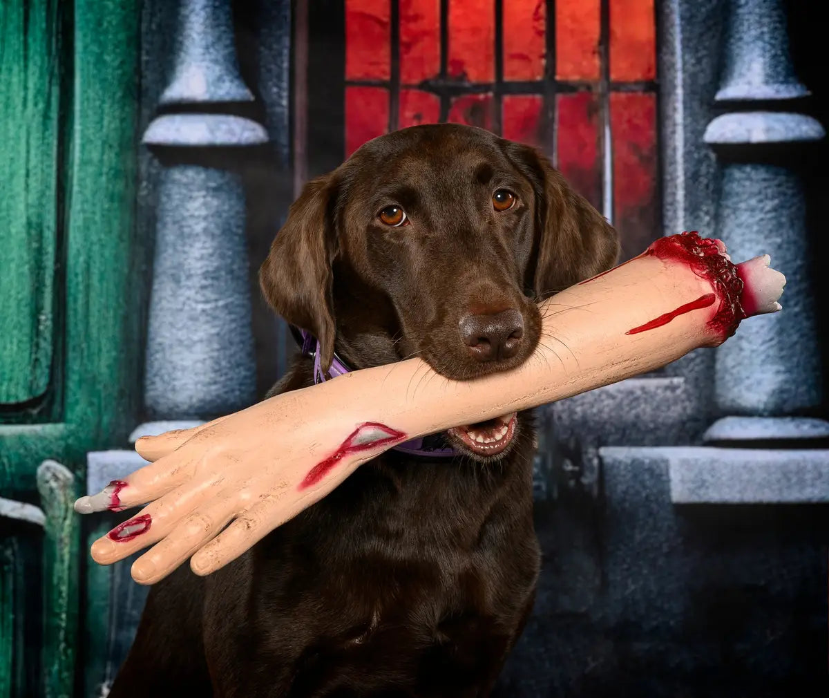 Halloween Green Door Street Pumpkin Backdrop Progettato da GQ