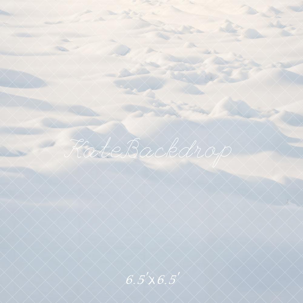 Winter Outdoor Sneeuw Vloer Foto Achtergrond 