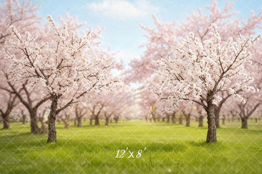 Kate Spring Cherry Blossom Orchard in Spring Backdrop Designed by Emetselch