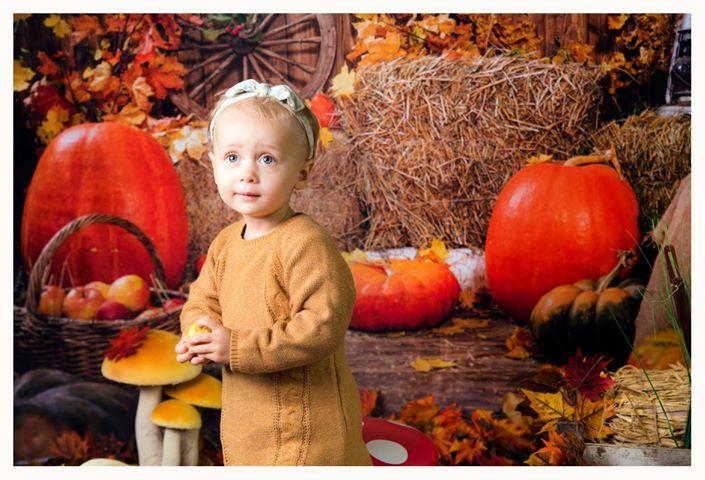 Fall Photography Backdrop, Autumn Yellow Maple Leaves Pumpkin Background, Thanksgiving Harvest Holiday Fall Party Decorations Banner Photo Booth Props,7X5ft Fall Photography Backdrop, Autumn Yellow Maple Leaves Pumpkin Background, Thanksgiving Harvest Holiday Fall Party Decorations Banner Photo Booth Props,7X5ft