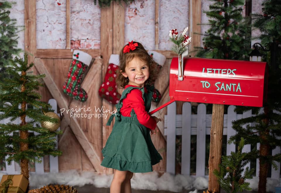Kate Christmas Winter Snow Fence Door Backdrop Designed by Emetselch