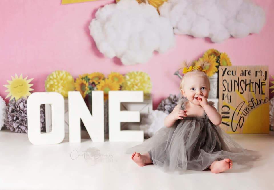 Kate You Are My Sunshine Pink Backdrop Designed by Mandy Ringe Photography