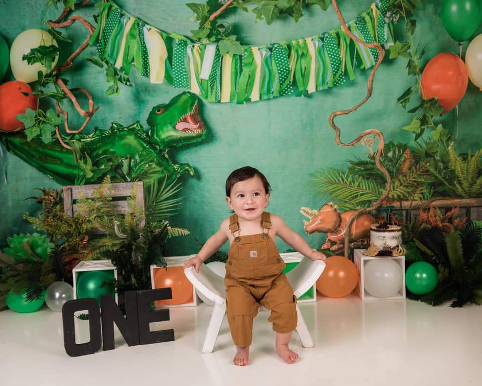 Kate Wild Dinosaur Backdrop Designed by Jia Chan Photography