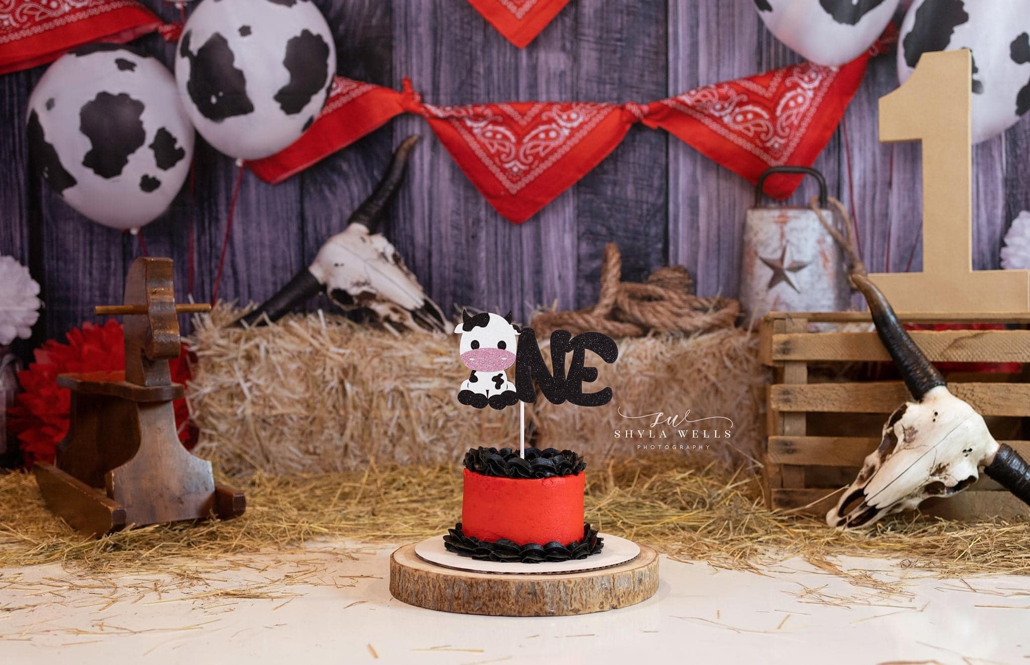 Kate Farm Cowboy Red Decorations Backdrop for Photography