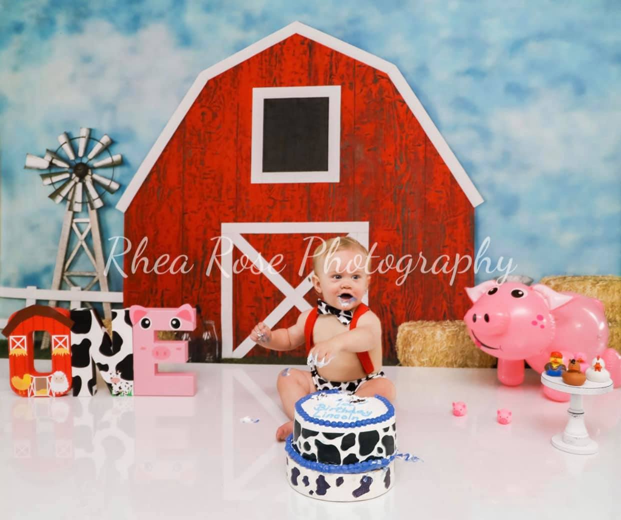 RTS Kate 7x5ft Barnyard Fun Children Summer Backdrops Designed by Arica Kirby (Clearance US only)