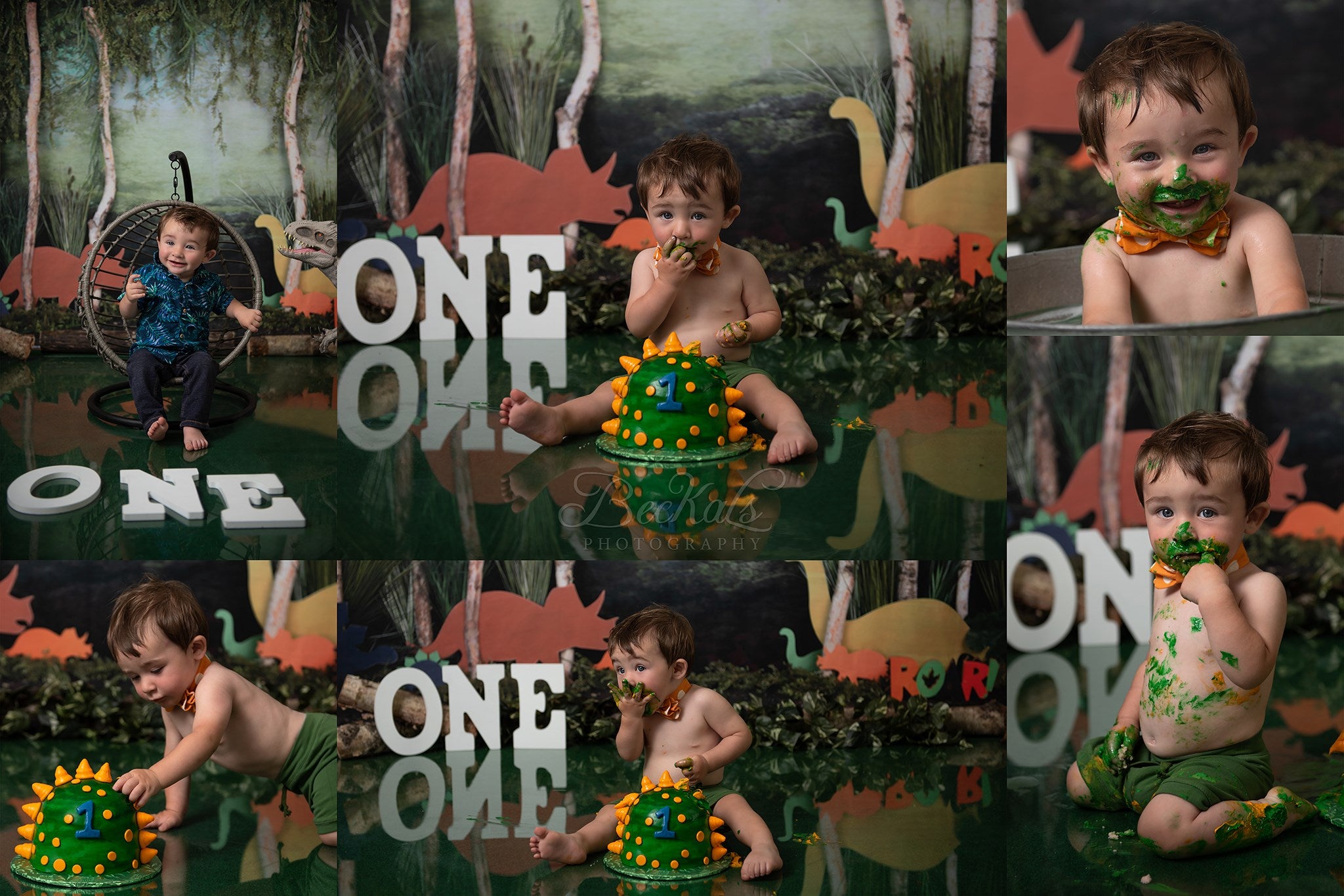 Kate Rainforest Trunk Wonderland with Dinosaur Backdrop