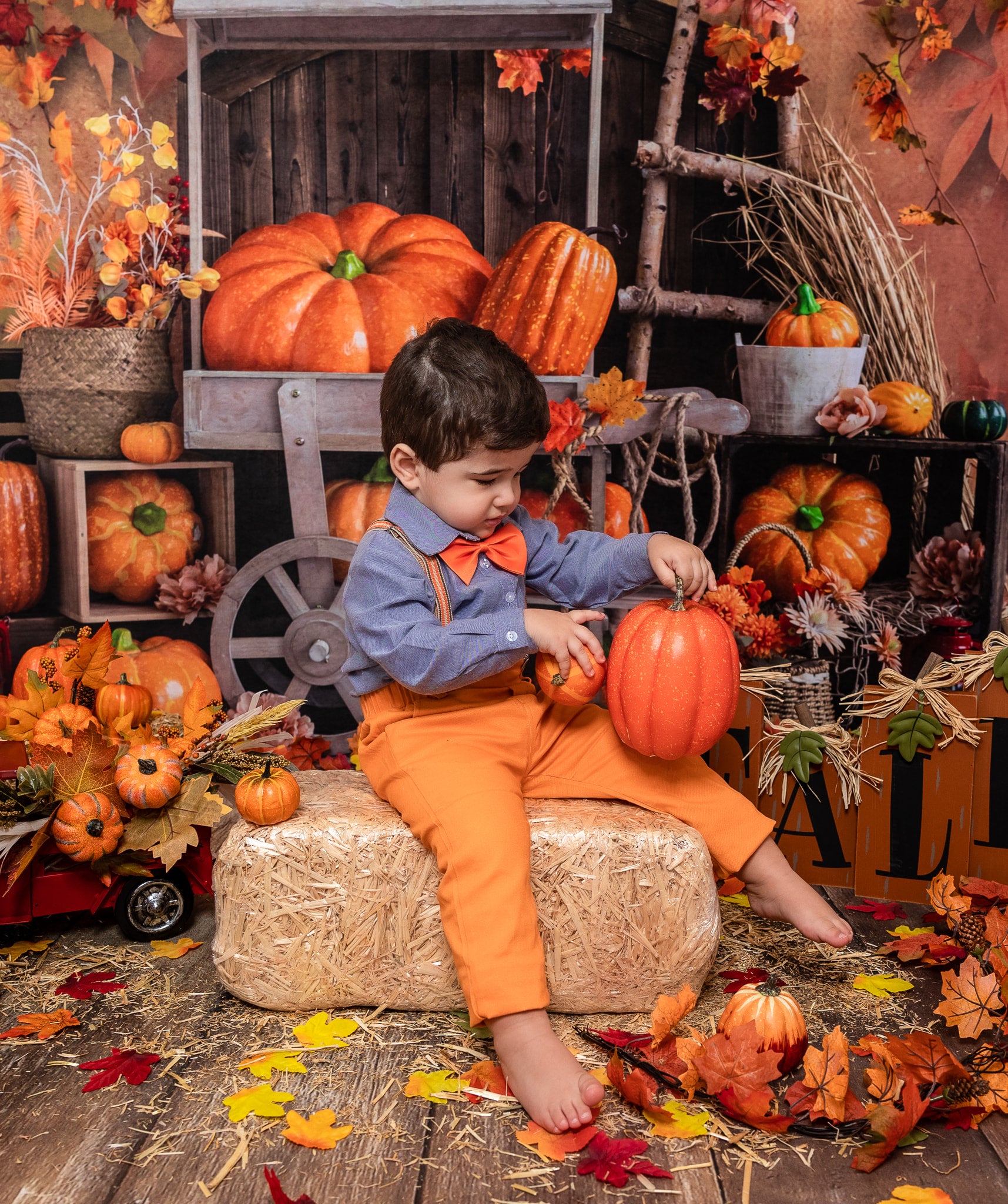Kate Autumn Cake Smash Backdrop Pumpkin Maple Leaves Designed by Emetselch - Kate Backdrop