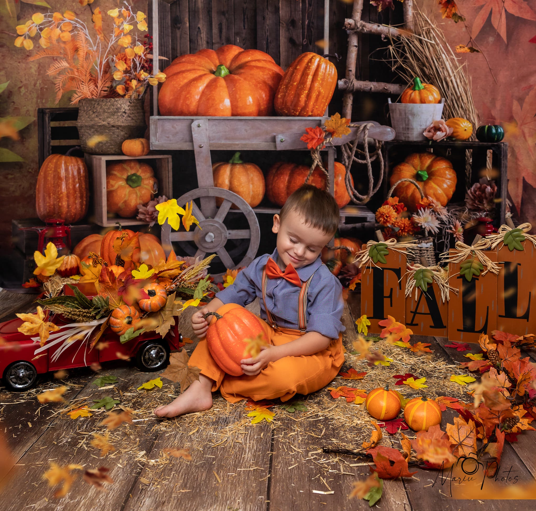 Kate Autumn Cake Smash Backdrop Pumpkin Maple Leaves Designed by Emetselch - Kate Backdrop