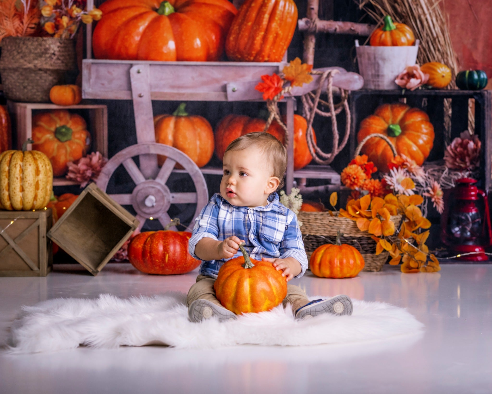 Kate Autumn Cake Smash Backdrop Pumpkin Maple Leaves Designed by Emetselch - Kate Backdrop