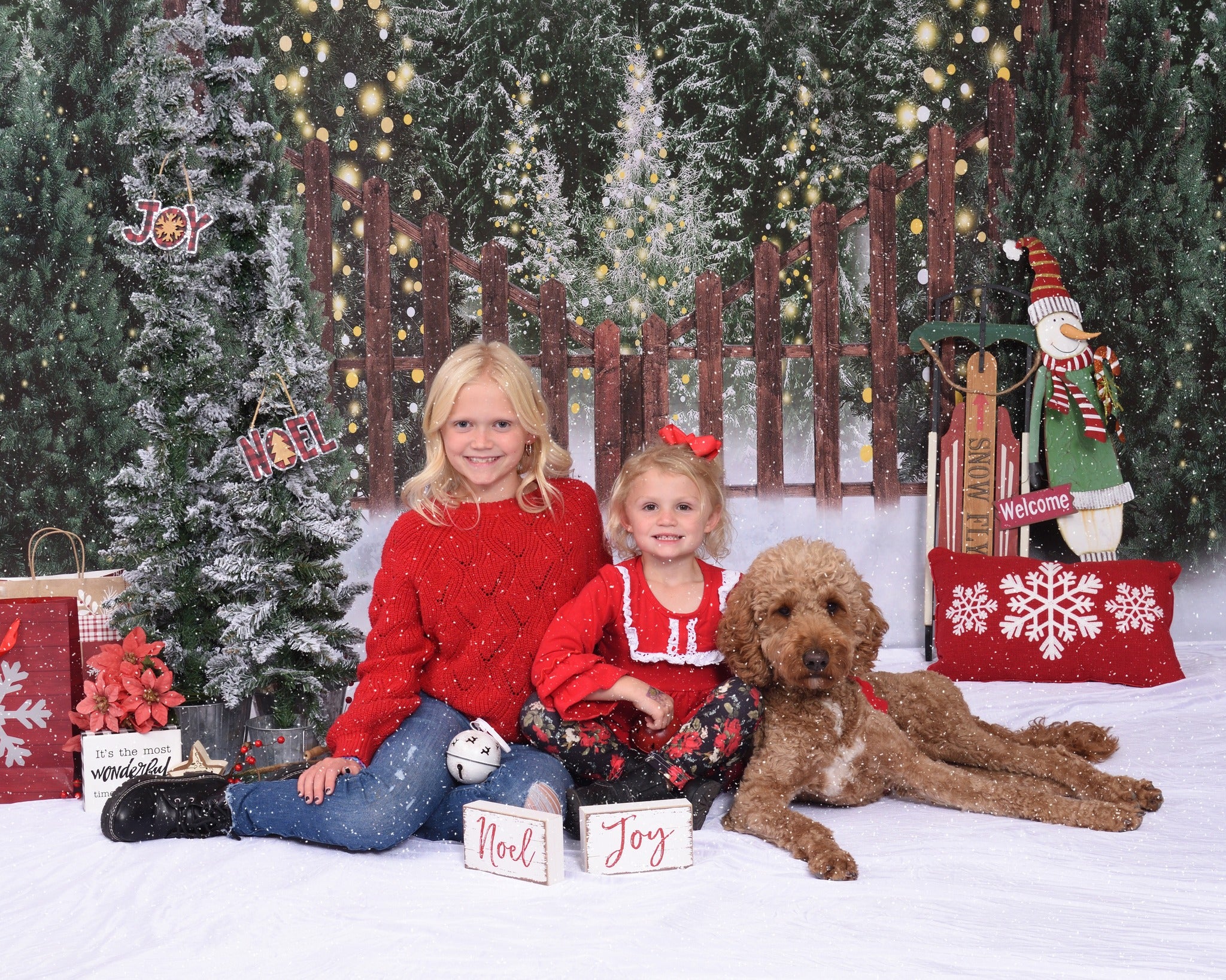 Kate Christmas Backdrop Tree Farm Fence Outdoor for Photography