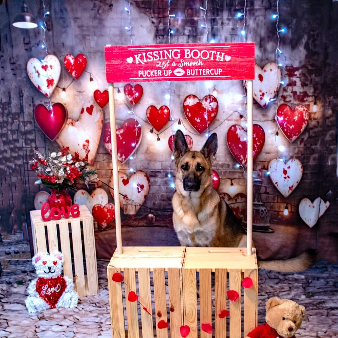 Kate Pet Valentine's Day Industrial Sense Retro Lamp Wall Love Backdrop Designed by Emetselch