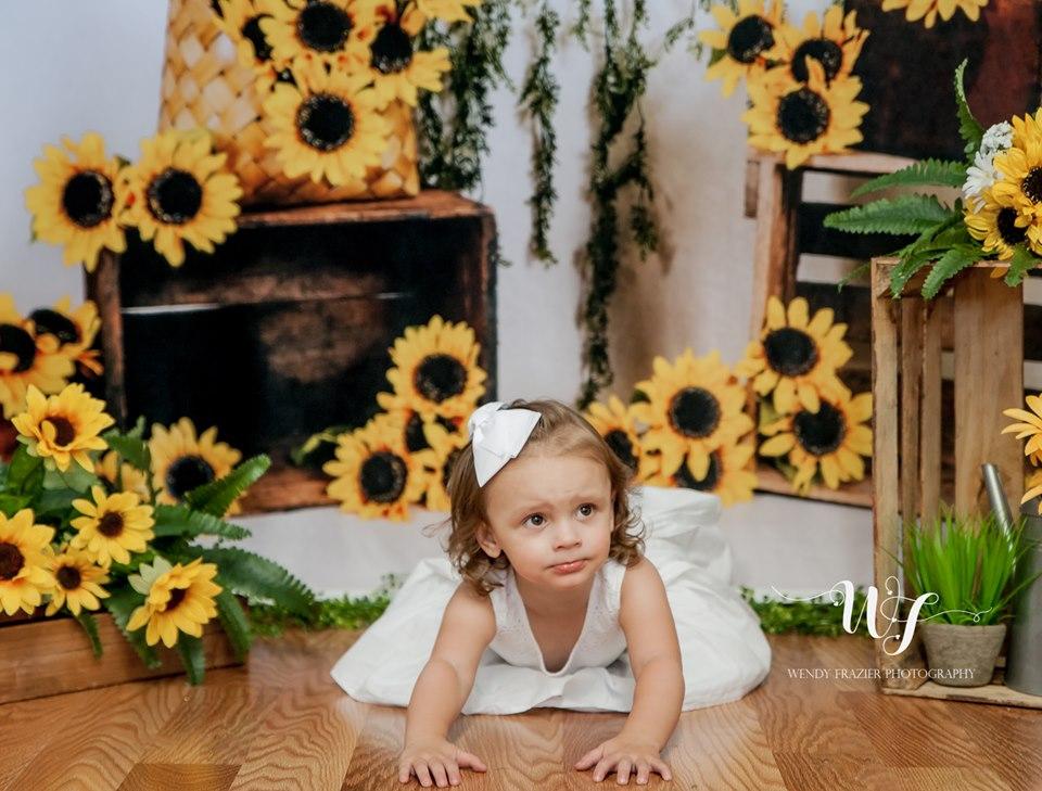 Katebackdrop鎷㈡綖Kate Sunflower Summer Backdrop for Photography Designed by Keerstan Jessop