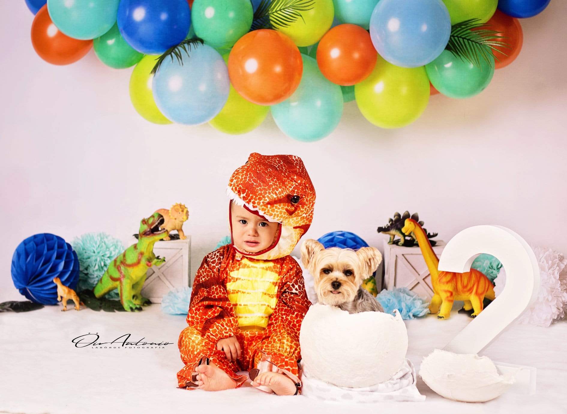 Katebackdrop£ºKate Dinosaur Birthday with Balloons Backdrop for Photography Designed By Mandy Ringe Photography