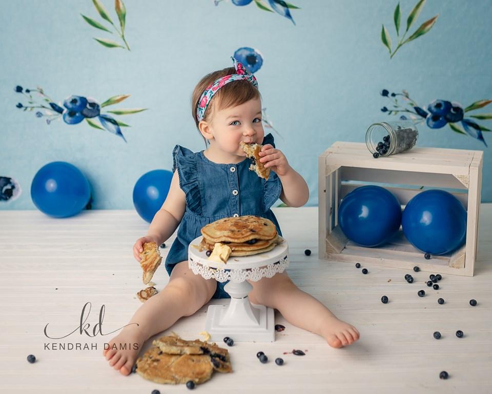 Katebackdrop鎷㈡綖Kate Blueberries Summer Backdrop for Photography Designed By Leann West