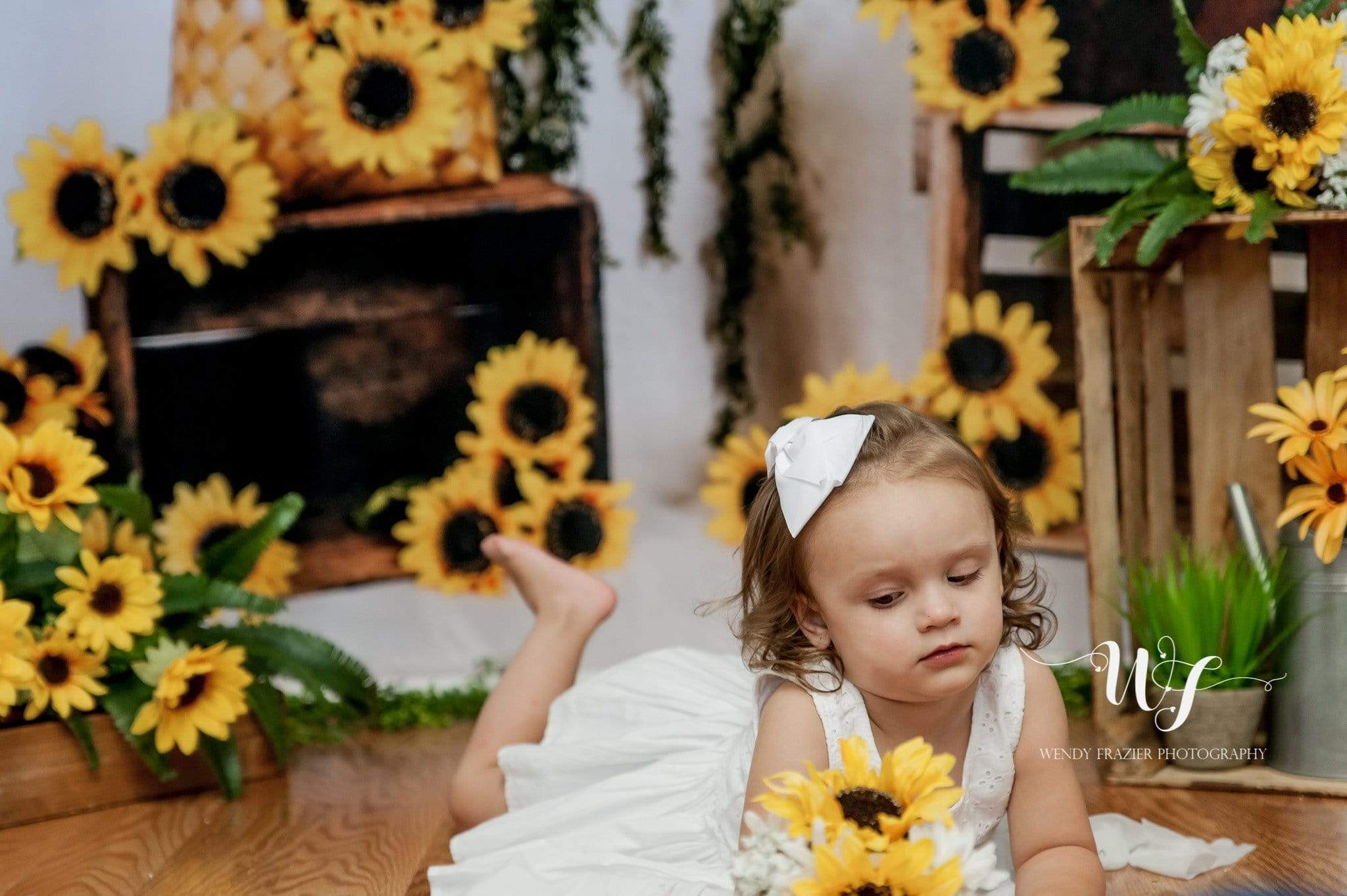 Katebackdrop鎷㈡綖Kate Sunflower Summer Backdrop for Photography Designed by Keerstan Jessop