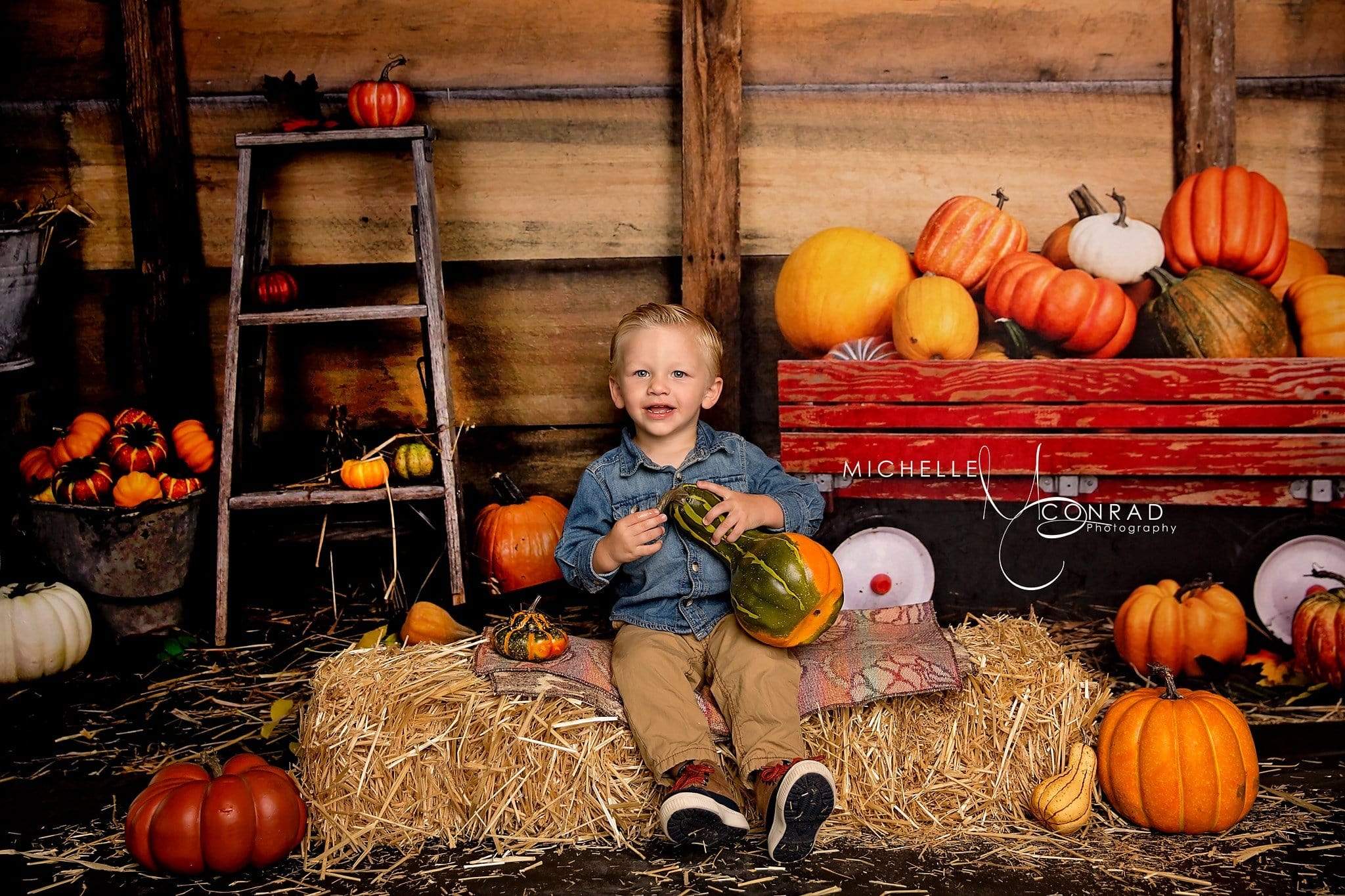 Katebackdrop鎷㈡綖Kate Pumpkin Harvest Backdrop Autumn and Halloween designed by Arica Kirby
