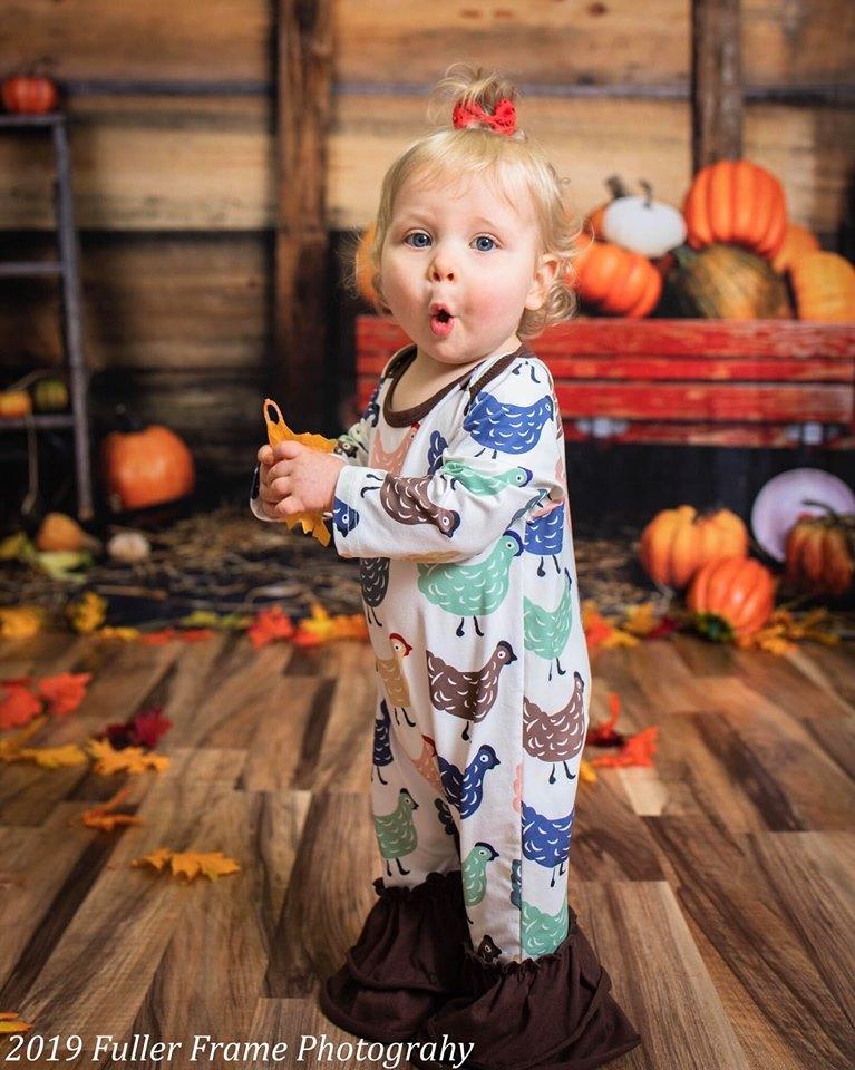 Katebackdrop鎷㈡綖Kate Pumpkin Harvest Backdrop Autumn and Halloween designed by Arica Kirby