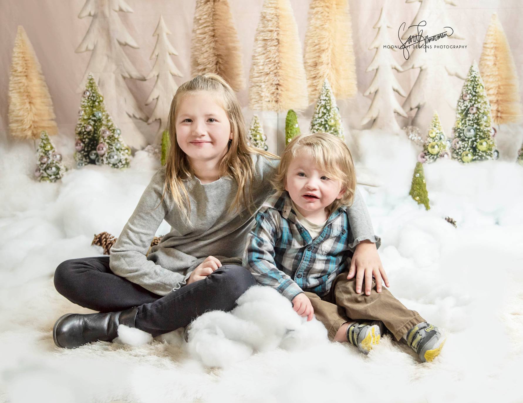 Katebackdrop£ºKate Elegant Christmas Trees Backdrop for Photography Designed By Mandy Ringe Photography
