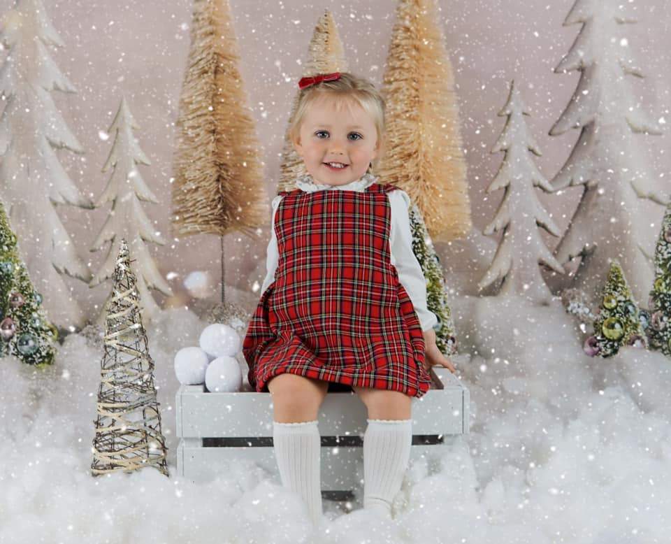 Kate Elegant Christmas Trees Backdrop for Photography Designed By Mand
