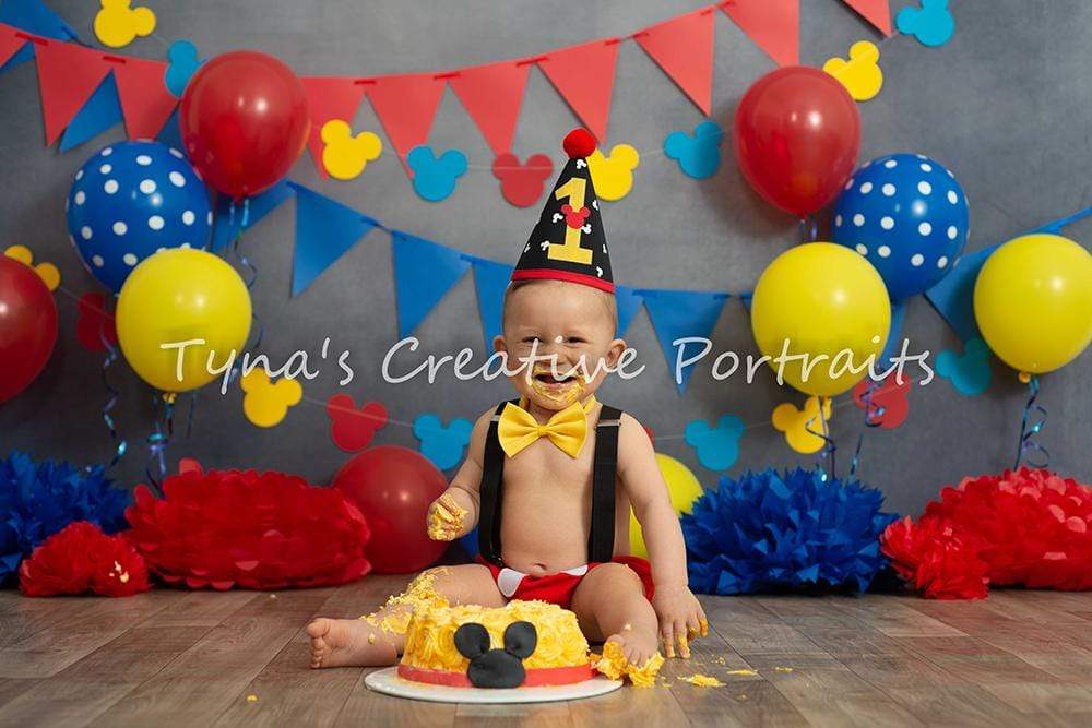 Katebackdrop鎷㈡綖Kate  Primary Party Backdrop for Children Photography Designed By Tyna Renner