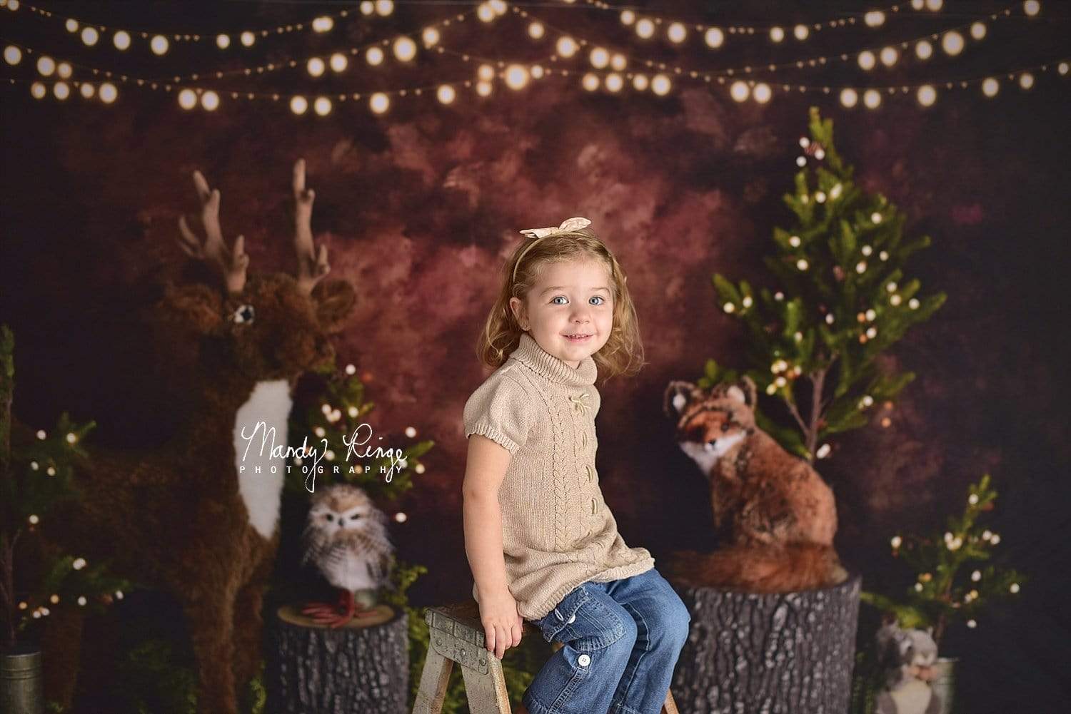 Katebackdrop£ºKate Woodland Critters Backdrop Designed By Mandy Ringe Photography