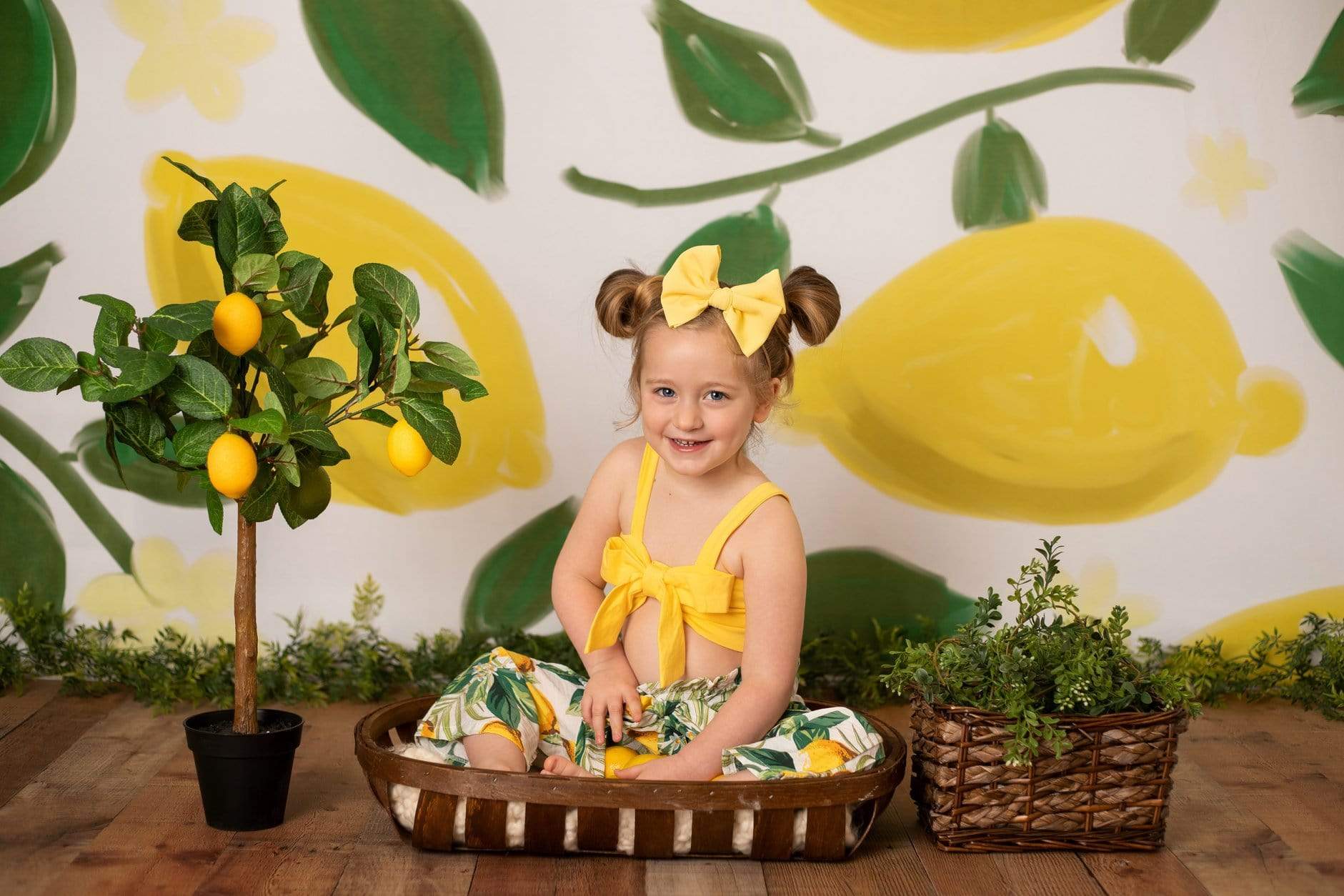 Katebackdrop鎷㈡綖Kate Lemon Cake Smash Children Backdrop Designed by Sarah Timmerman
